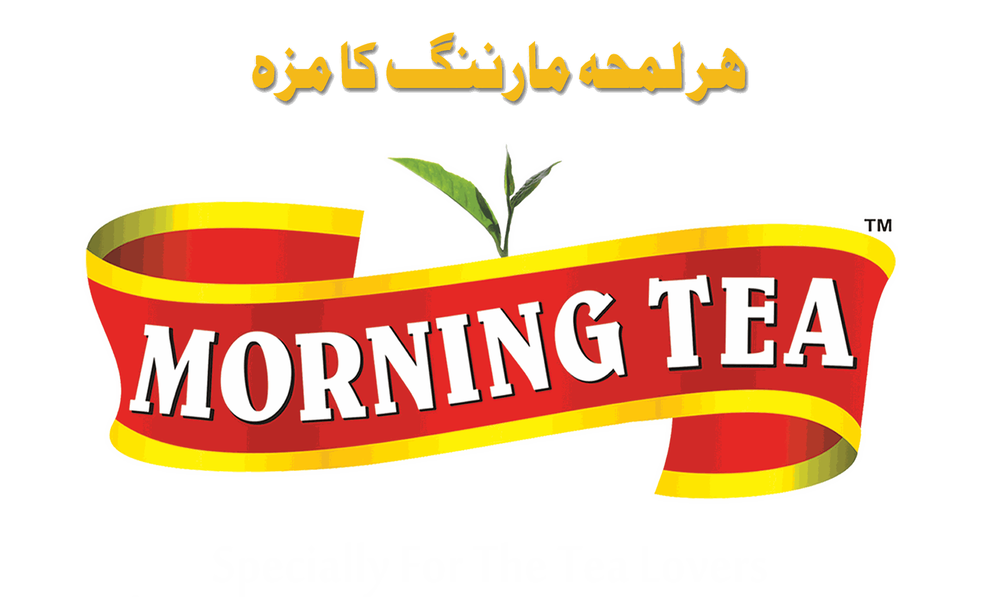 TEAMZ International